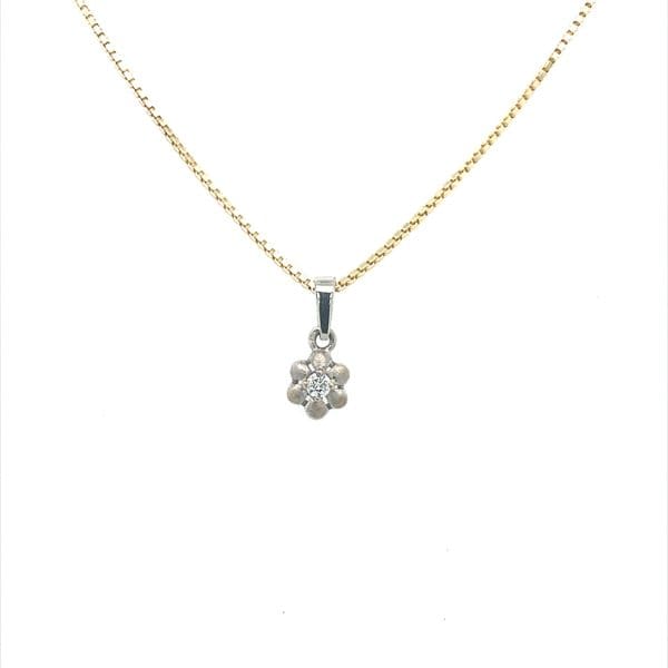 Diamant hanger met gouden ketting 14k