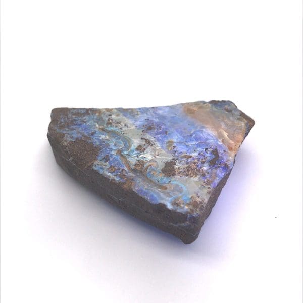 Opaal met versteend hout